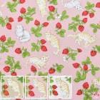 �ͤ��Τ����ӤС����������ϡ�CA10664S��������(50cm�ʾ�10cmñ���ڤ����)