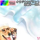 ���ꥸ�ʥ����Ϥ�������ޤ���49cm��39cm�����������ᥤ�ɡ��ե륫�顼�ץ��ȡ������ù����̼���������