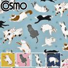 �ؤ�ŷ�ˤ�󤳡����å������ϡ�  AP52903-2�������⡡(50cm�ʾ�10cmñ���ڤ����) �κ߸˸¤����