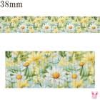 �ץ��ȥ�ܥ�������ȥ���ߡ����ܥ���38mm��1mñ�̡��ڤ���ꡡ(3m�ʾ�)