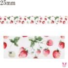 �ץ��ȥ�ܥ����ε����ܥ���25mm��1mñ�̡��ڤ���ꡡ(3m�ʾ�)