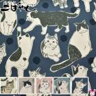 �ӥå�ǭ�����㥭���Х����ϡ�KTS7110�����åȥ󤳤Ф䤷��(50cm�ʾ�10cmñ���ڤ����)