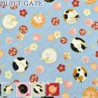 �ͤ��β�̲�ꡡ�����������ϡ� HR3550-12������ȥ����ȡ�(50cm�ʾ�10cmñ���ڤ����)��