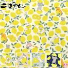 ����ǭ���֥��������ϡ� KTS7121�����åȥ󤳤Ф䤷��(50cm�ʾ�10cmñ���ڤ����)