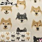 �������ʼƤ�󤳡����㥭���Х����ϡ� KTS7122�����åȥ󤳤Ф䤷��(50cm�ʾ�10cmñ���ڤ����)