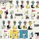 SN�ѥ졼�ɡ����å������ϡ����������������Բ�(50cm�ʾ�10cmñ���ڤ����)