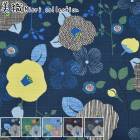 �¥����ʲ֤ᤰ�ꡡ�Х˥�����ϡ�99221-3��NBK��(50cm�ʾ�10cmñ���ڤ����)