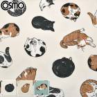 �ޤä���ˤ�󤳡����å������ϡ�AP61104-1�������⡡(50cm�ʾ�10cmñ���ڤ����)