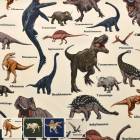 �磻��ɥ����ʥ��������å������ϡ�HSK814�����ʥ䥹�� (50cm�ʾ�10cmñ���ڤ����)