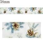 �ץ��ȥ�ܥ󡡤����ߥ��顼�ξ��ܤä����ܥ���38mm��1mñ�̡��ڤ���ꡡ(3m�ʾ�)