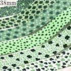 �ץ��ȥ�ܥ󥢥����ȥ��åȡ���ʪ��1����38mm����1����6��