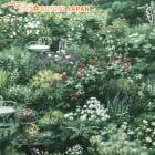 �����ǥ�ơ��֥롡�����������ϡ�DPJ-095-2������顡��67�ˡ� (50cm�ʾ�10cmñ���ڤ����)���κ߸˸¤��