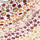 �ץ��ȥ�ܥ󥢥����ȥ��åȡ����߷ϡ���38mm����1����6��