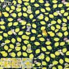 ��åץ�ǭ���󡡥��åȥ󥭥��Х����ϡ� KTS7182�����åȥ󤳤Ф䤷��(50cm�ʾ�10cmñ���ڤ����)