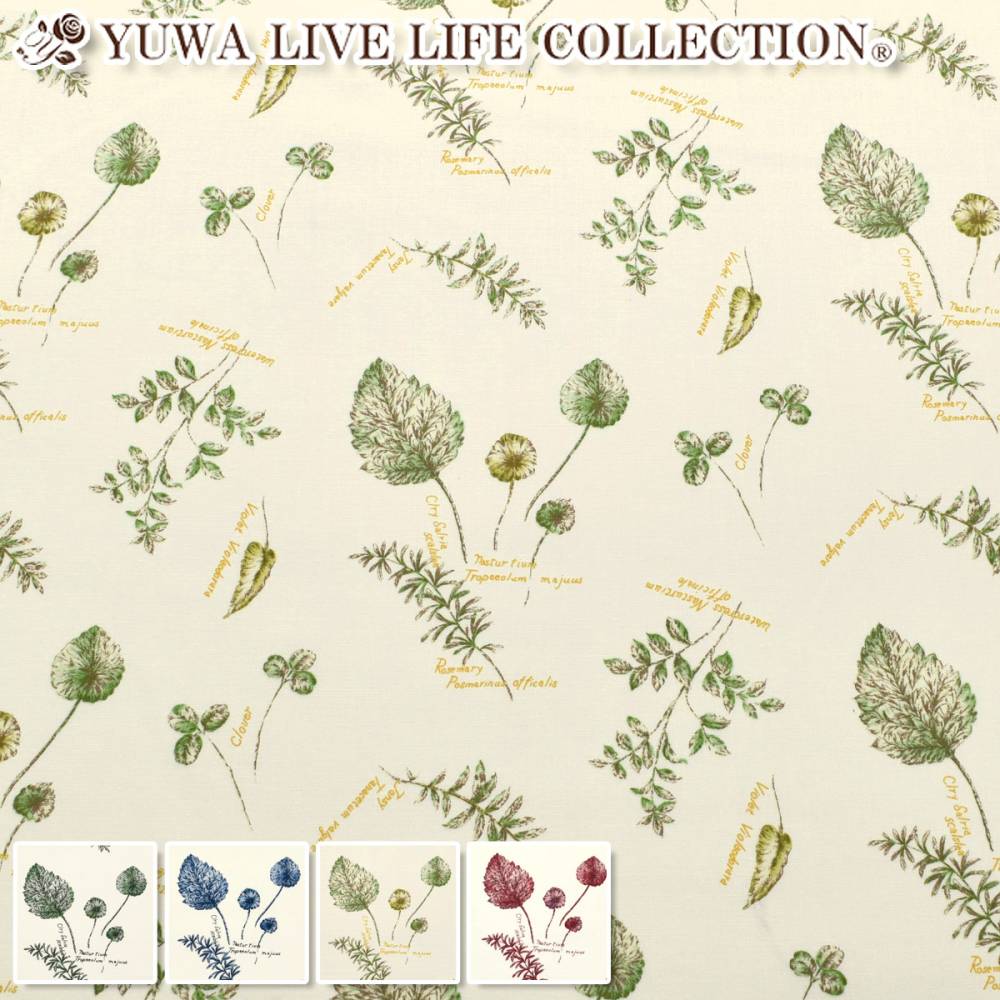 �ʥ�����꡼�ա����㡼�ƥ������ϡ� 824991��YUWA��ͭ�ؾ�Ź��(50cm�ʾ�10cmñ���ڤ����)