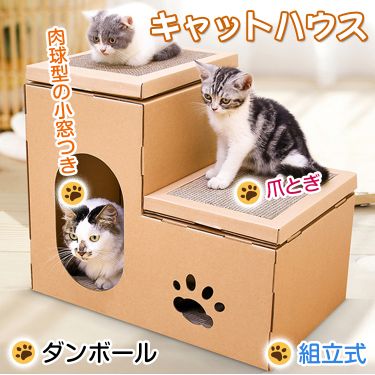 キャットハウス pt034