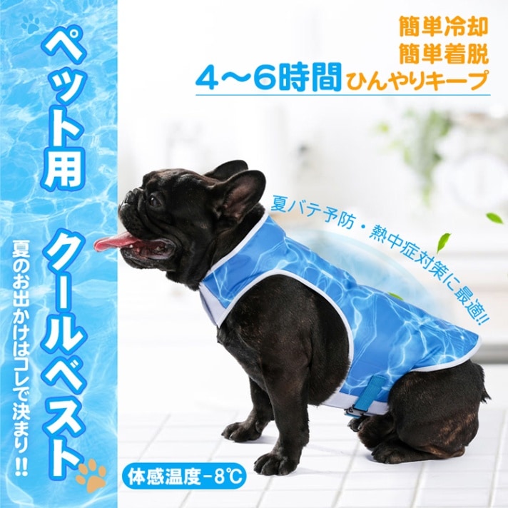 クールベスト pt075