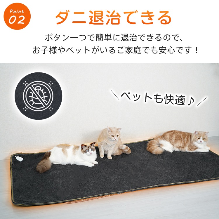 腰痛のコリを和らげるビアンストーン ホットマット 未開封⑤