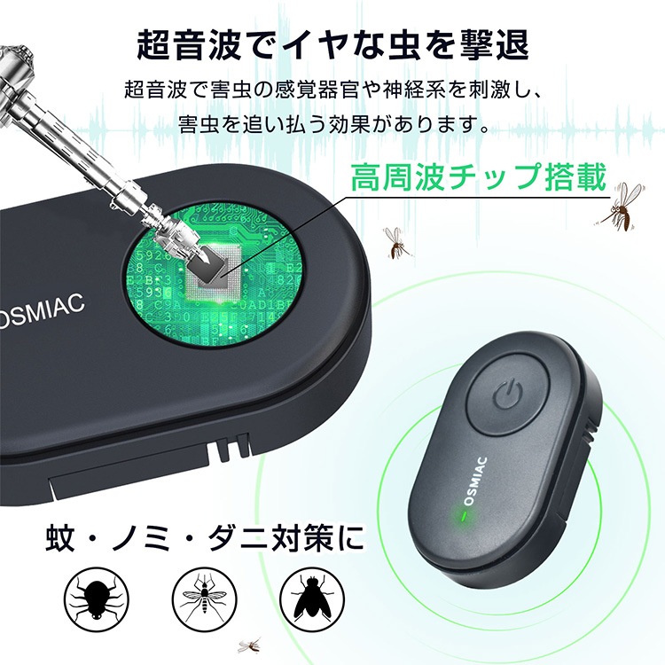 ADA 陶器 虫入れ 虫音 ADA 虫音2点セット