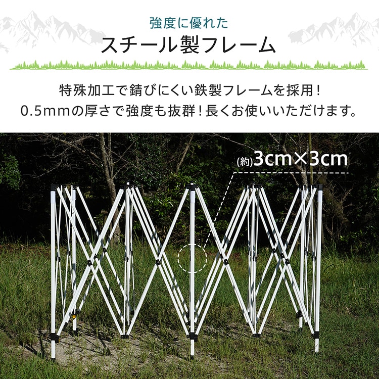 タープテント3m×6m od650