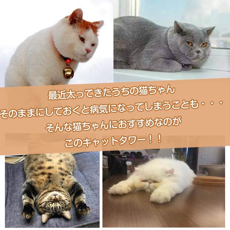 キャットタワ－ キャットタワー pt027