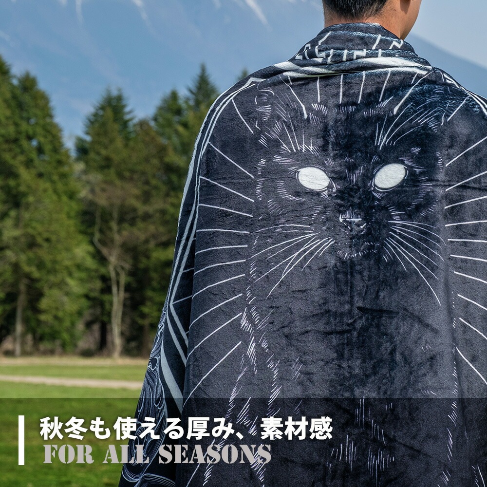 CHUMS ブランケット ひざ掛け アウトドア キャンプ キャンピング　ボア アウトドア 防寒 ブランケット チャムス(CHUMS)ブランケット