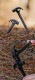 【KZM正規代理店】KZM OUTDOOR カズミアウトドア ハンマーペグ 250mm 350mm アウトドア ペグハンマー 軽量 おしゃれ キャンプ用品  キャンプオプション キャンプ製品 アウトドア インテリア 室内家具 室外家具