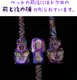 【取寄品】ペグ 30cm 鍛造ペグ チタン 手造り 手作り テント タープ 設営 ペグ 金槌 頑丈 強固 キャンプ アウトドア ソロキャンプ キャンプ用品 防災グッズ