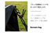 【KZM正規代理店】KZM OUTDOOR ヴェンタサンシェード ventta sun shade サンシェード ポップアップ ワンタッチ テント ピクニック アウトドア UVカット 撥水 防水 収納 軽量 シェードテント  おしゃれ キャンプ アウトドア ピクニック フェス 海 釣り 登山