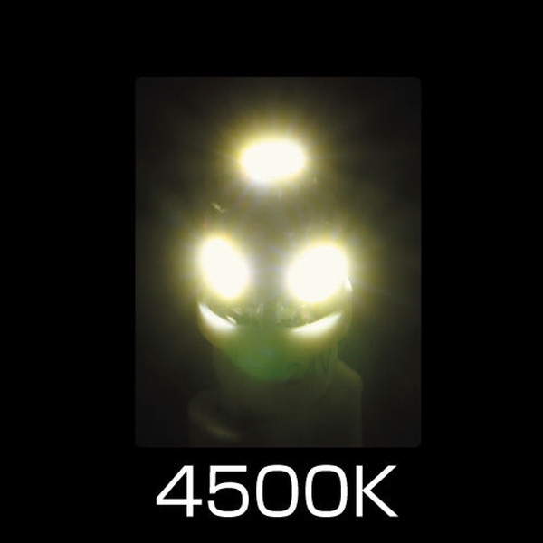 LED T10�����å��Х�� LA-004 �ۥ磻�� 529161