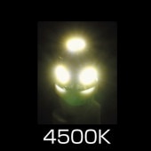 LED T10åХ LA-004 ۥ磻 529161