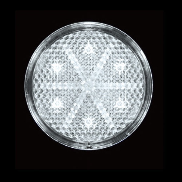 LED �ݷ���ե쥯����NEO ���ꥢ/�ۥ磻�� 592563