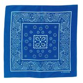 �Х���� ǻ��