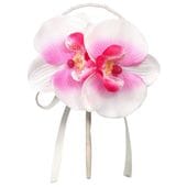 ���������� ��ĳ�� �ԥ�