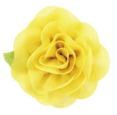 ����������Хå� ��������