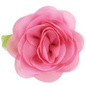 ����������Хå� �ԥ�