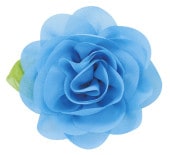 ����������Хå� �֥롼