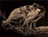 ������ɥ�����å��ܡ��� �᥿��å��ե졼����