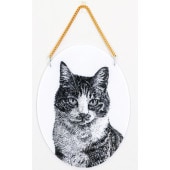 �ڥ������������ȥ�������ܡ���