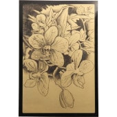 �����١���������å��ܡ��� �������