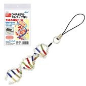 DNA���ȥ�å׺��