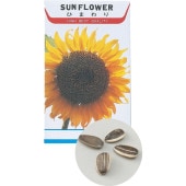 �֤μ� �ҥޥ�� ArTec