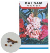 �֤μ� �ۥ����� ArTec