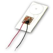 �Żҥ��르���� ���������θ���