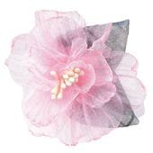 ���������� �졼���ե� �ԥ�