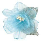 ���������� �졼���ե� �֥롼