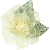 ���������� �졼���ե� ��������