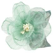 ���������� �졼���ե� ���꡼��