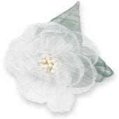 ���������� �졼���ե� �ۥ磻��