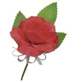 ���������� �ߥ˥Х� ��å�